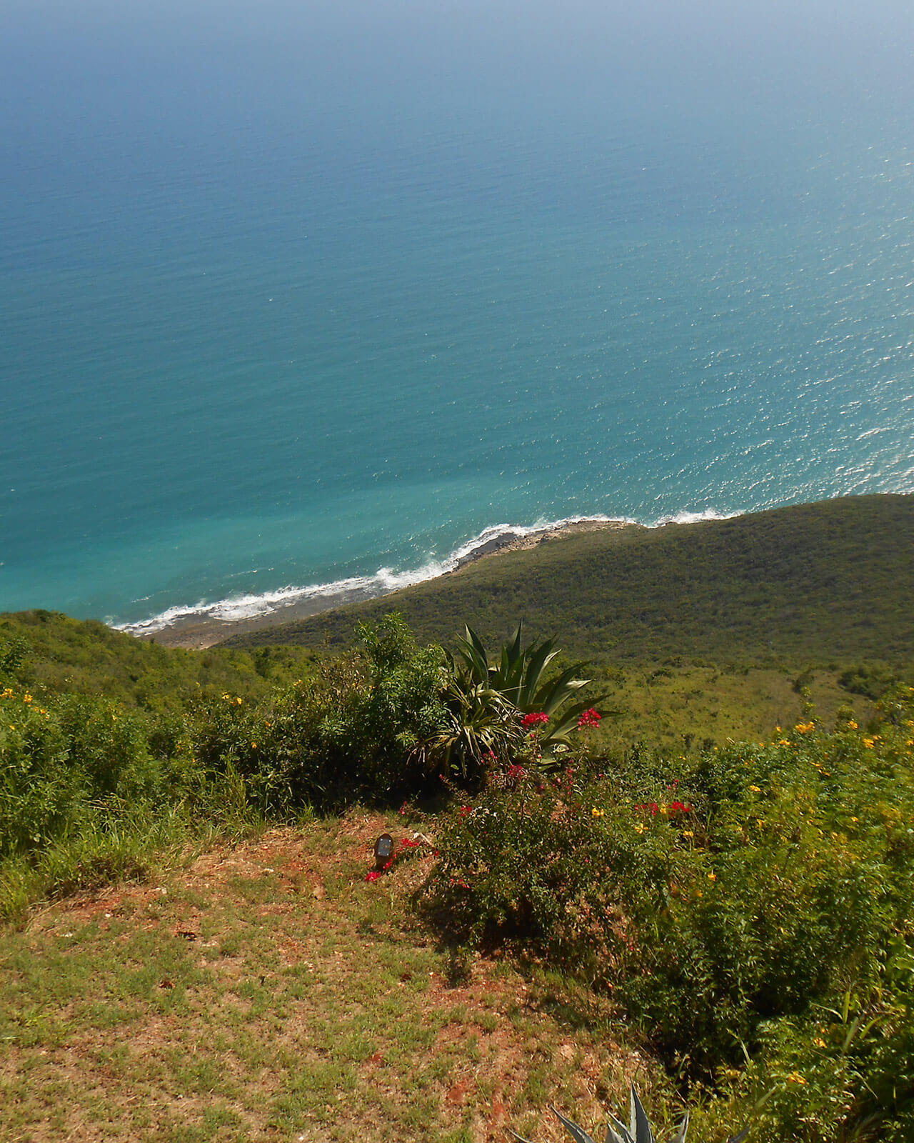 centra i kluby nurkowe na jamajce